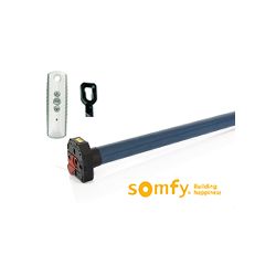 Wireless motor with remote control and manual operation - Somfy Vectran CSI  50/12