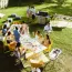 DUALCHEF S 425 G INOX - OutdoorChef